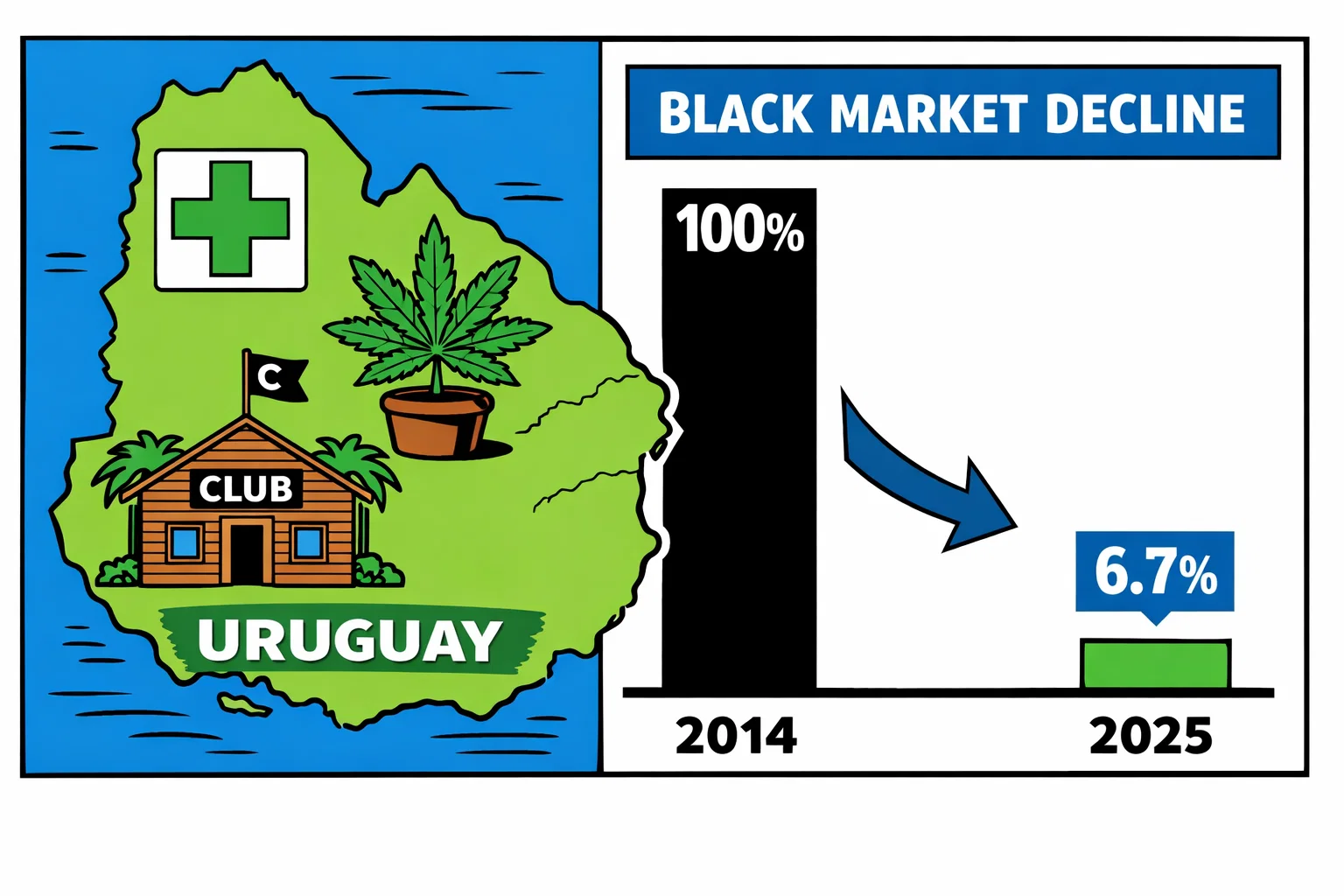 Uruguay legalizó hace 11 años: el mercado negro casi desapareció