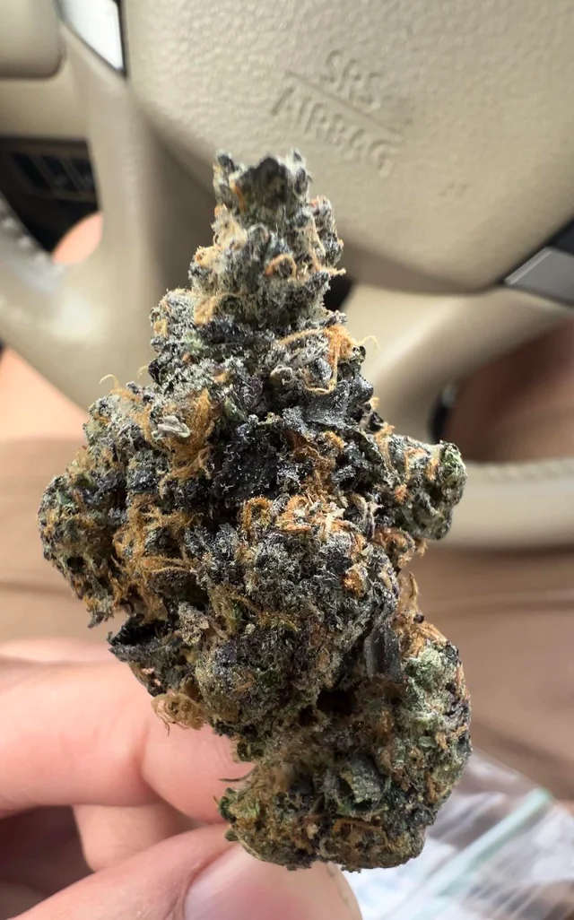 Foto comparativa de Jealousy con y sin flash