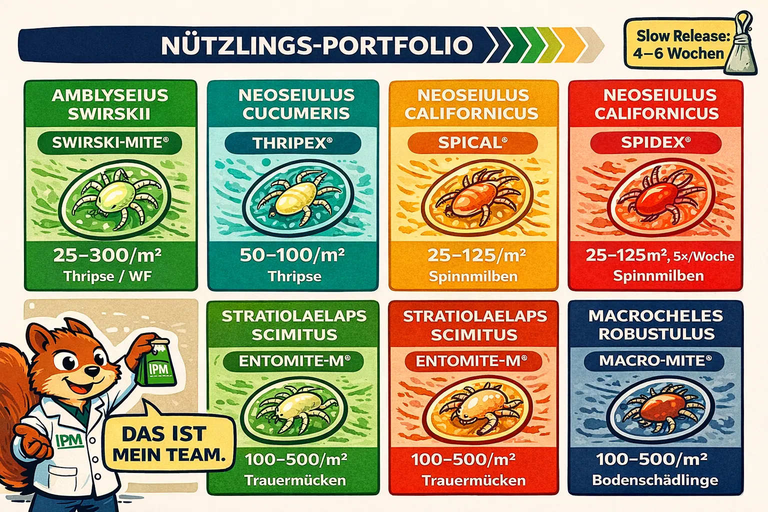 Nützlingstabelle für CSC-Anbau: Amblyseius swirskii, Phytoseiulus persimilis, Steinernema feltiae — Dosierungen und Ausbringungsintervalle