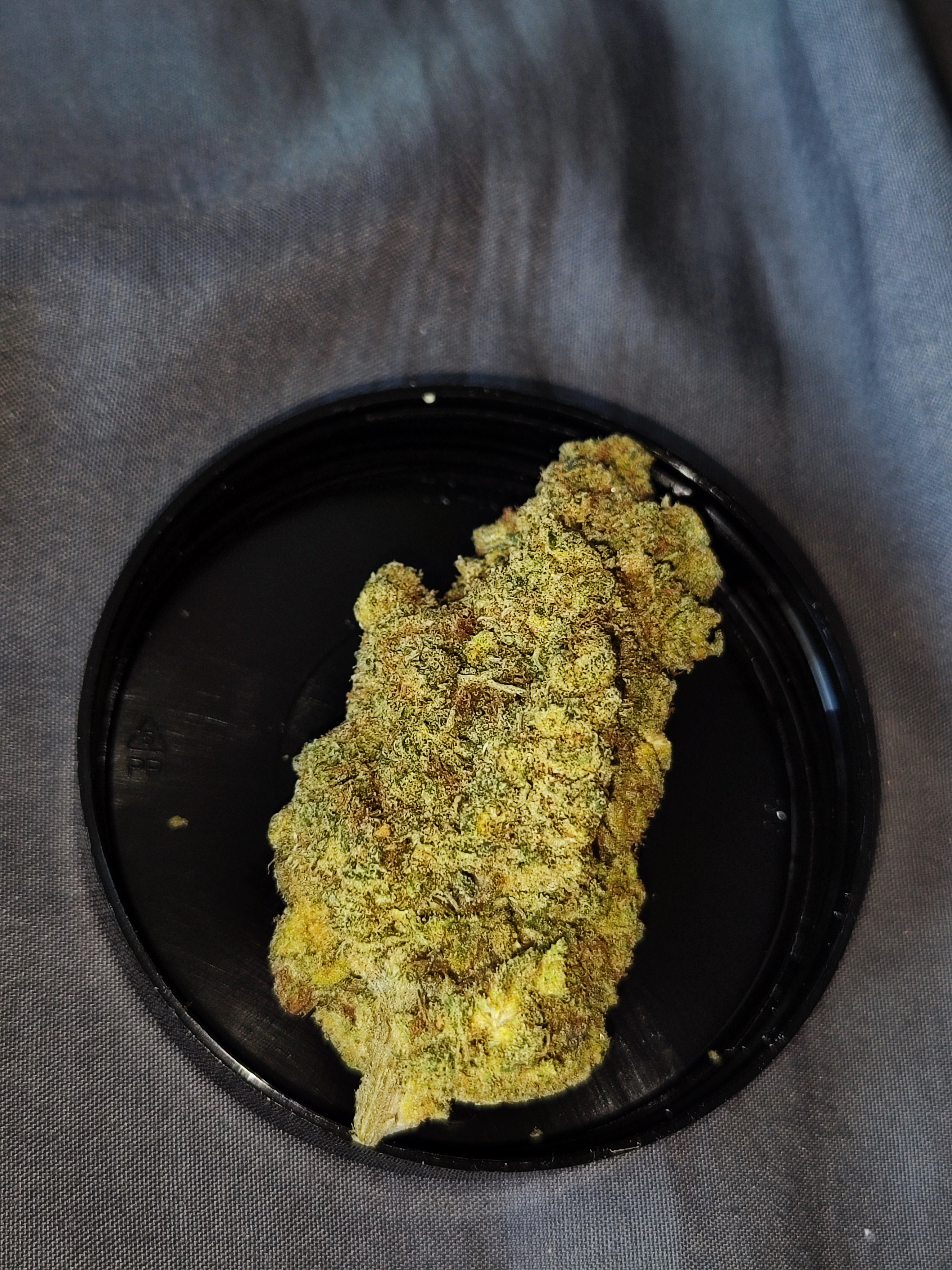 Makroaufnahme einer Ghost Train Haze Blüte vor schwarzem Hintergrund