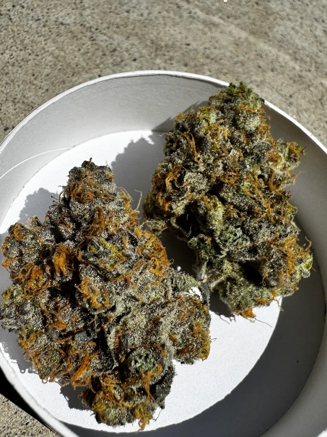 Nahaufnahme eines Gary Payton Buds mit dichten orangen Haaren und frostigem Harzüberzug.