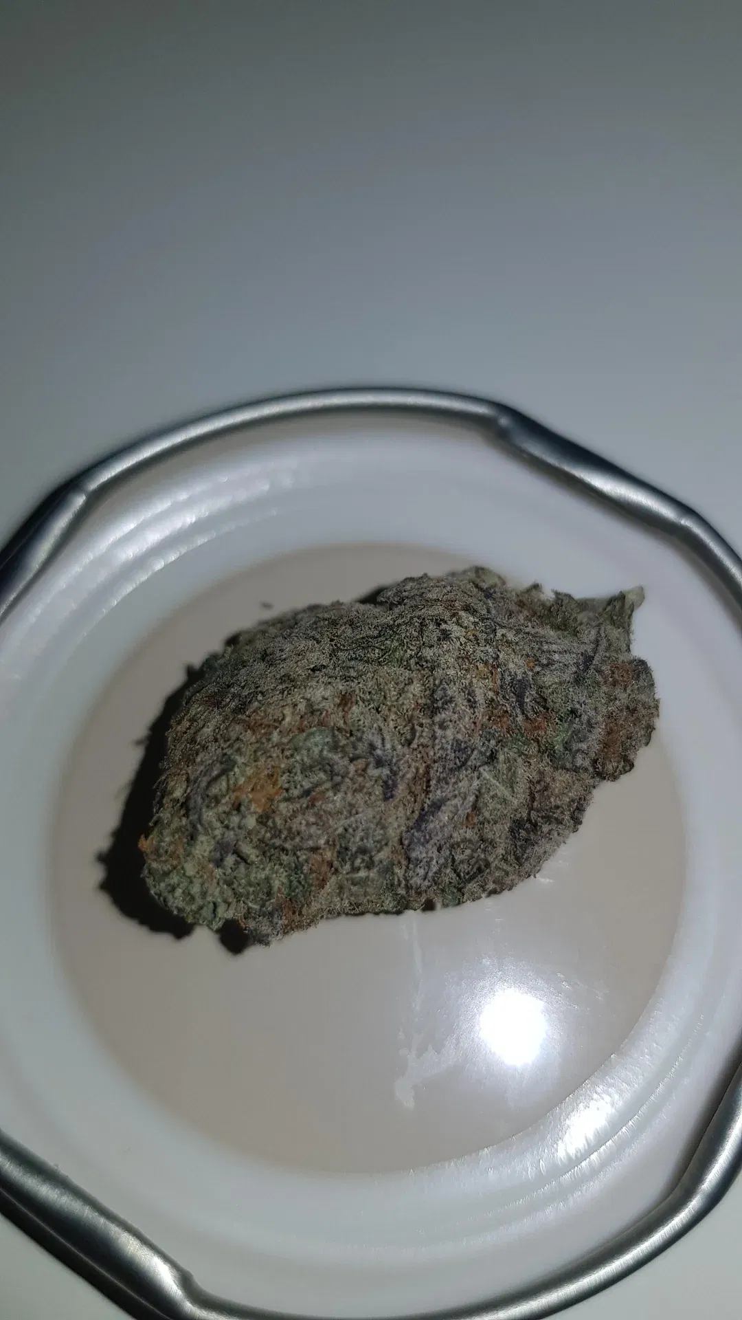 Zoap Bud Nahaufnahme.